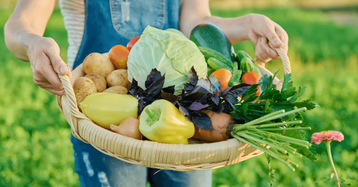 Ilustrační fotografie zeleniny